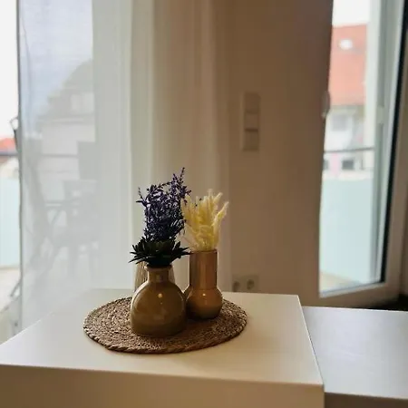 Rosengarten In Apartment Tettnang