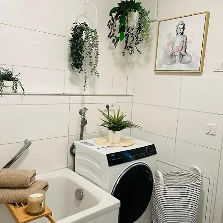 Apartment Rosengarten In Tettnang